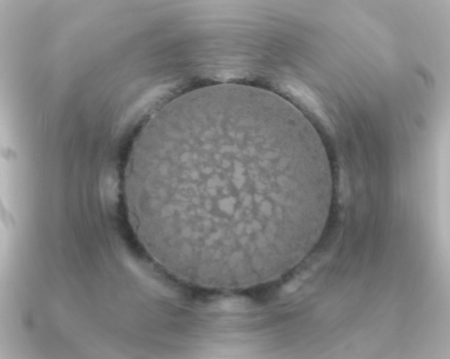 X0000091330210200708101432