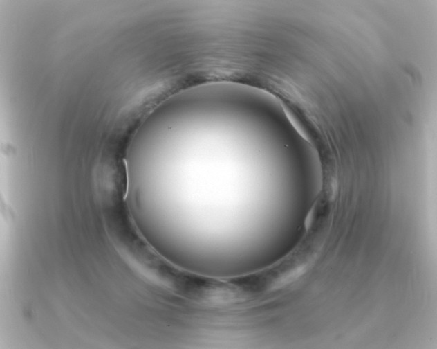 X0000091330215200708101431