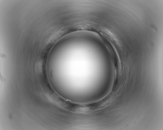 X0000091330217200708101431