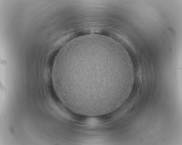 X0000091330218200708101431