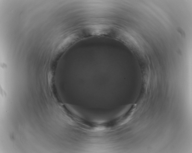 X0000091330219200708101431