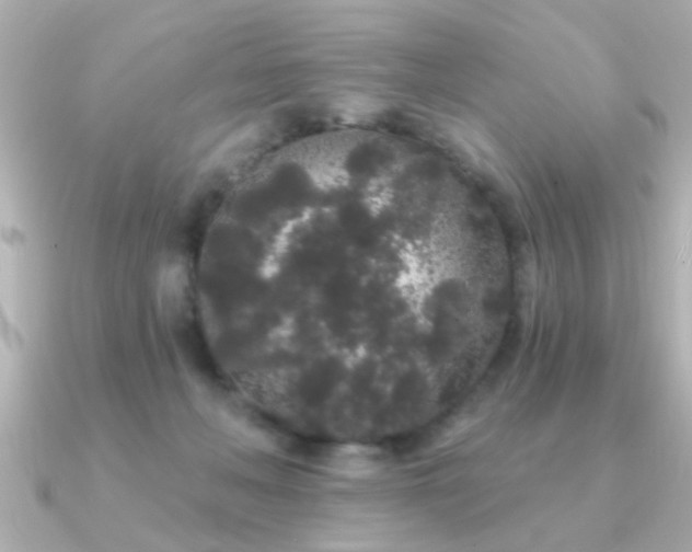 X0000091330222200708101431