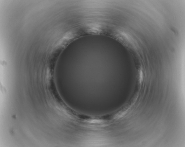 X0000091330223200708101431