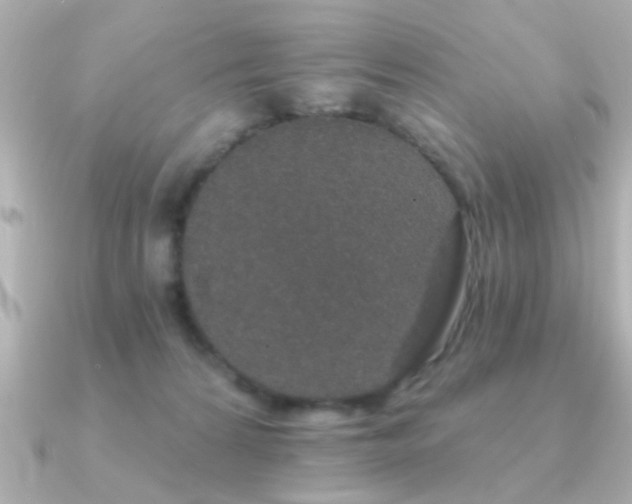 X0000091330224200708101431