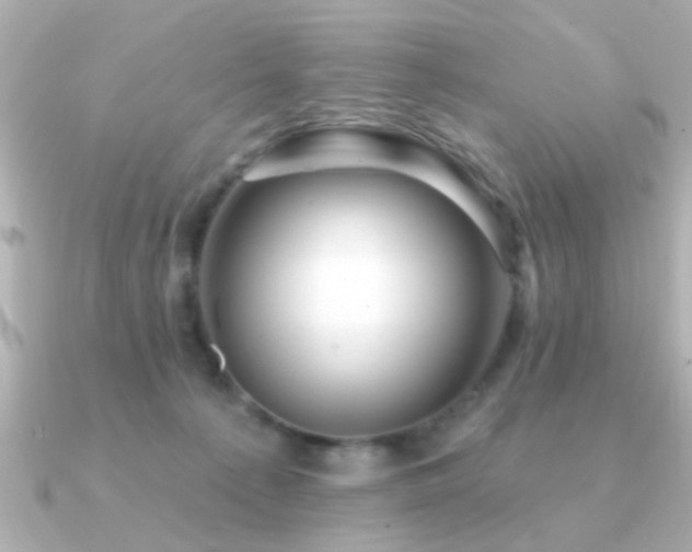 X0000091330225200708101431