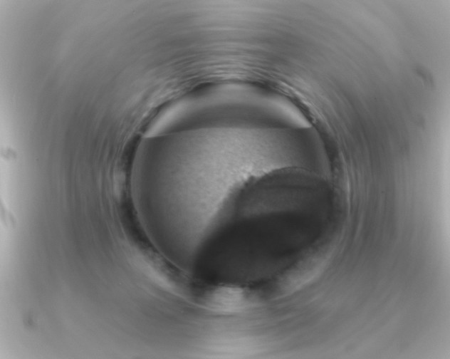 X0000091330227200708101431