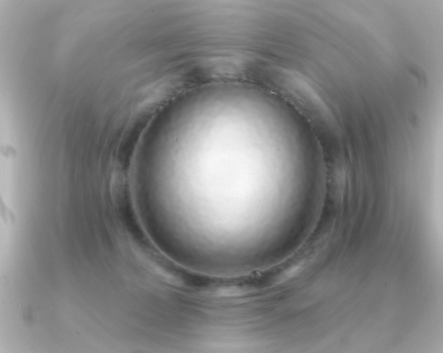 X0000091330228200708101431