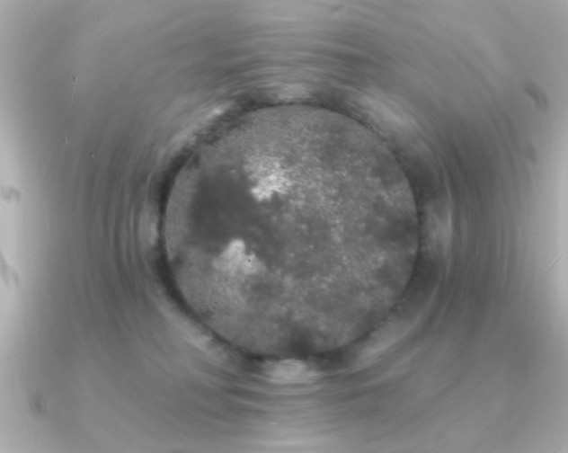 X0000091330230200708101431