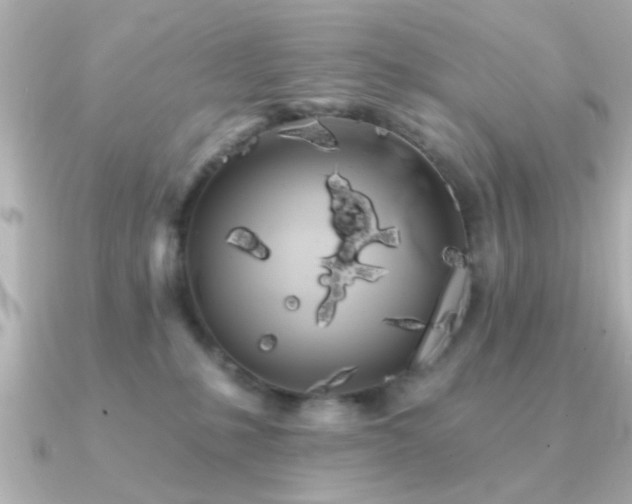 X0000091330231200708101431