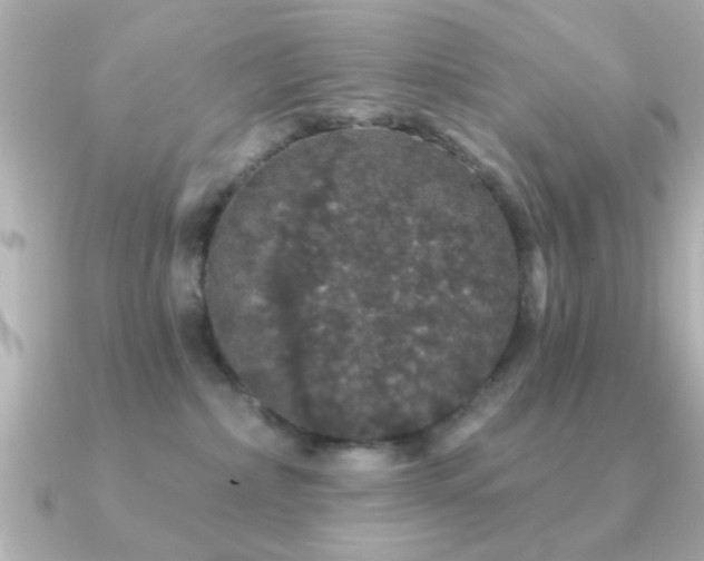 X0000091330236200708101431