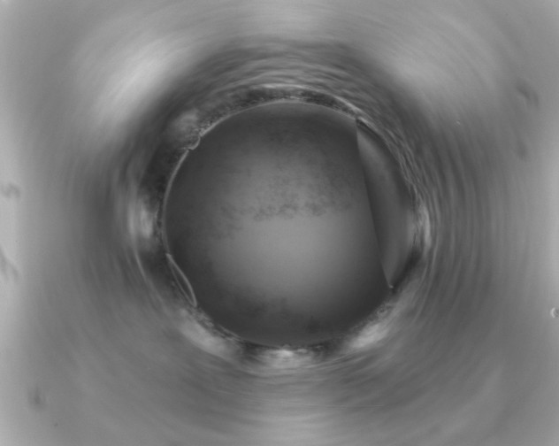 X0000091330239200708101431