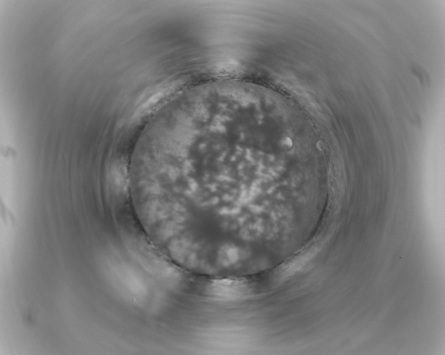 X0000091330240200708101431