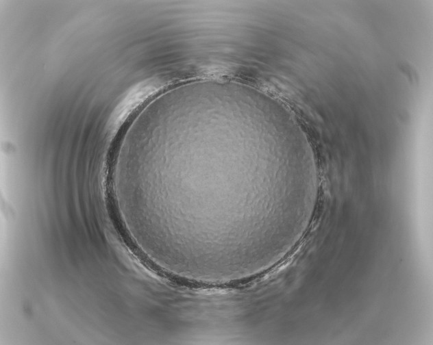 X0000091330242200708101431