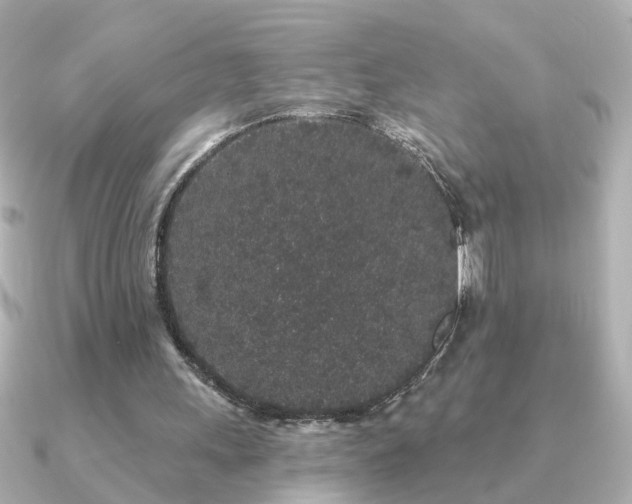 X0000091330243200708101431