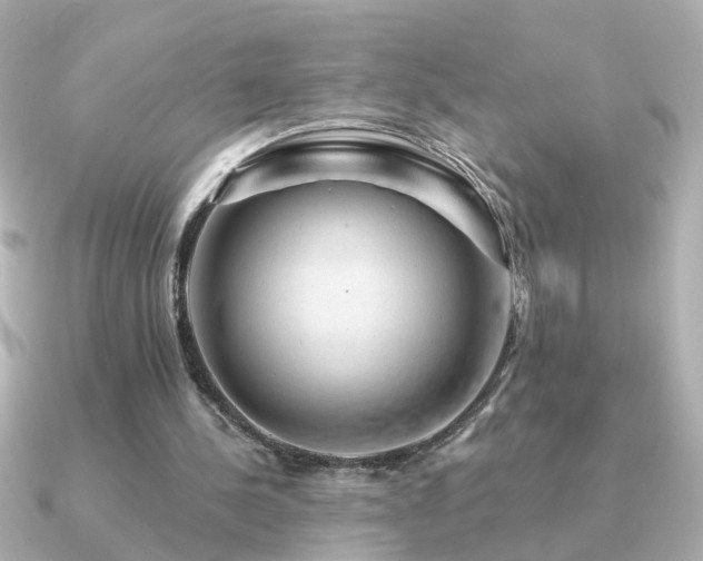 X0000091330244200708101431