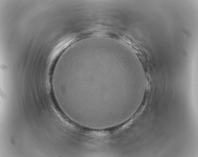 X0000091330245200708101431