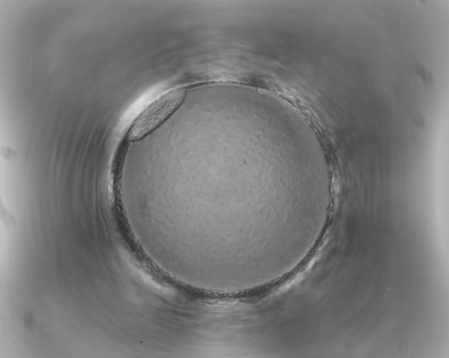 X0000091330246200708101431