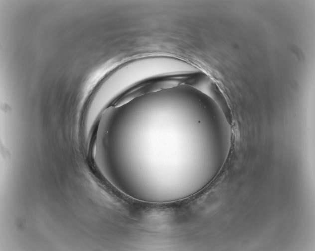 X0000091330248200708101431