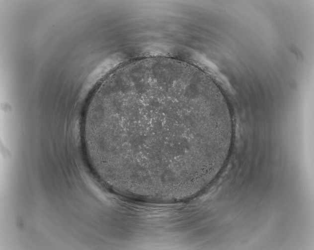 X0000091330250200708101431