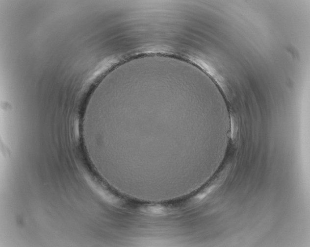 X0000091330253200708101431