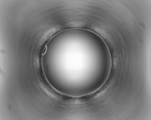 X0000091330254200708101431