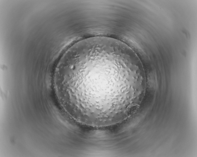 X0000091330255200708101431