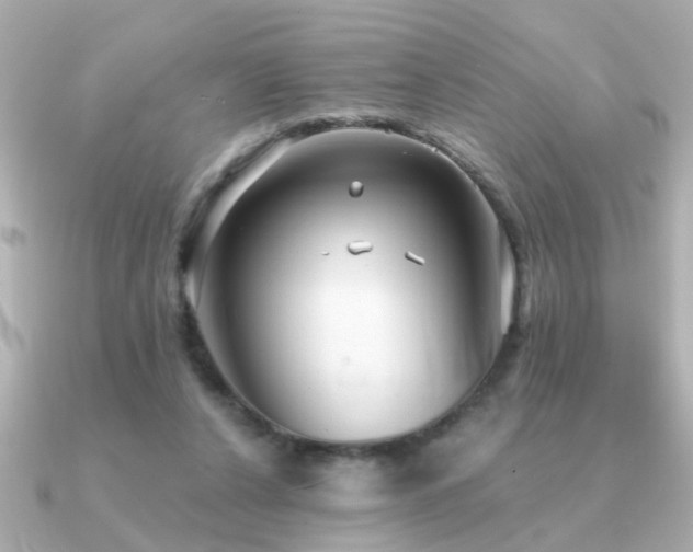 X0000091330256200708101431