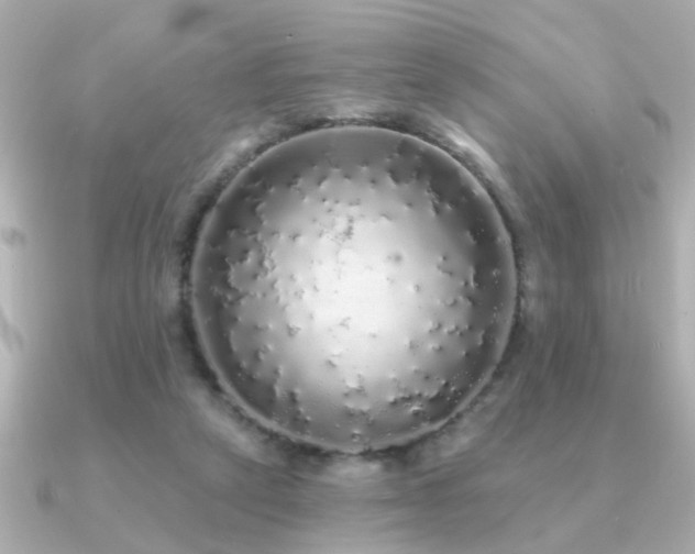 X0000091330257200708101431