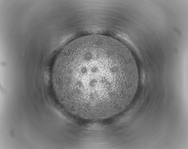 X0000091330259200708101431