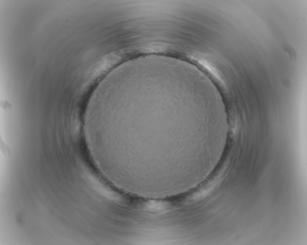 X0000091330261200708101431