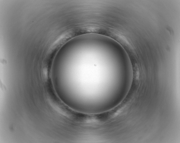 X0000091330262200708101431