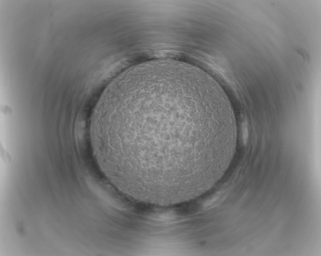 X0000091330263200708101431