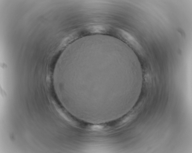 X0000091330265200708101431