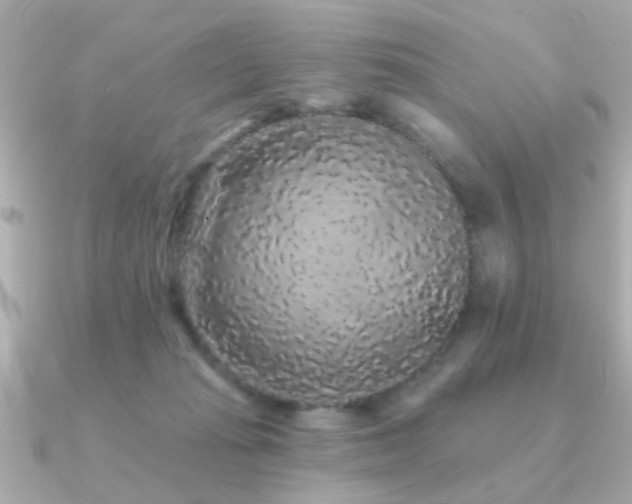 X0000091330269200708101431