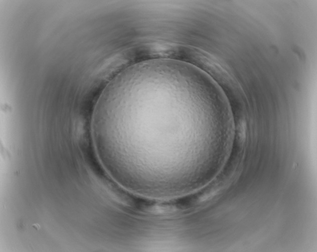 X0000091330270200708101431