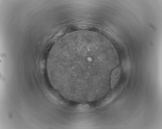 X0000091330271200708101431