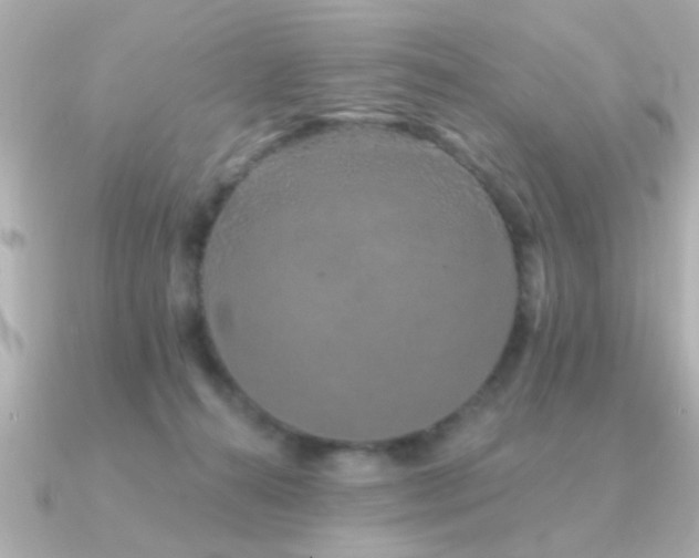 X0000091330272200708101431