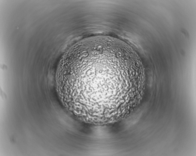 X0000091330273200708101431