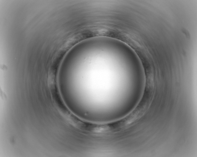 X0000091330274200708101431