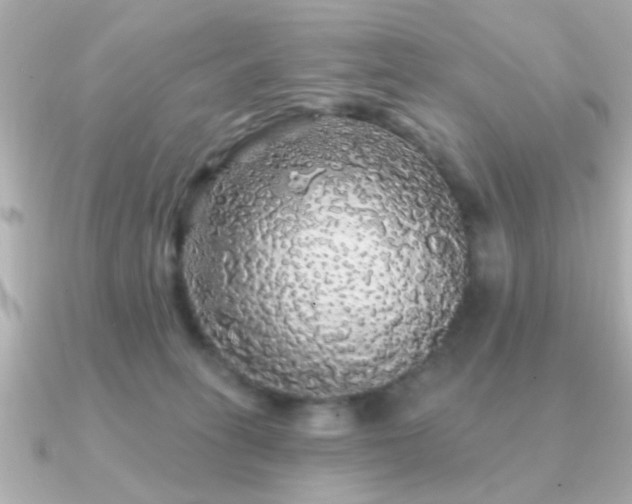 X0000091330275200708101431