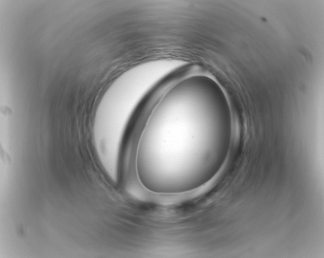 X0000091330276200708101431