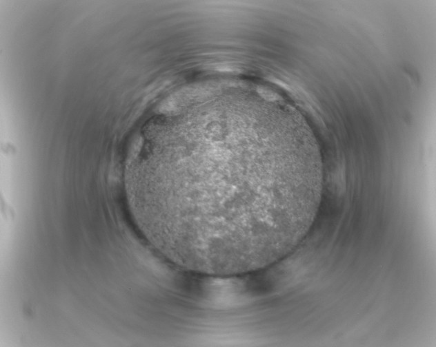 X0000091330277200708101431