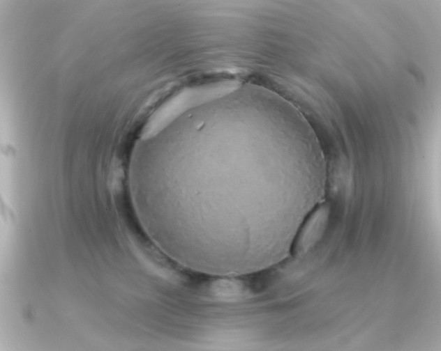 X0000091330279200708101431