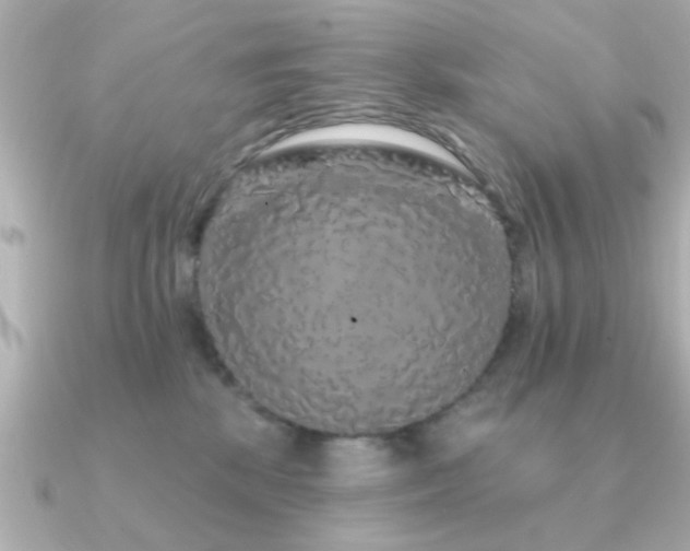 X0000091330281200708101431