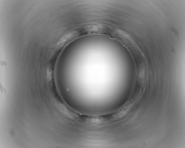 X0000091330282200708101431