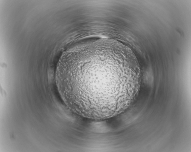 X0000091330283200708101431