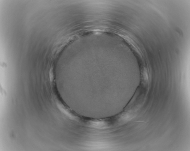 X0000091330284200708101431