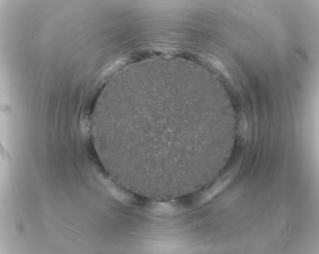 X0000091330285200708101431