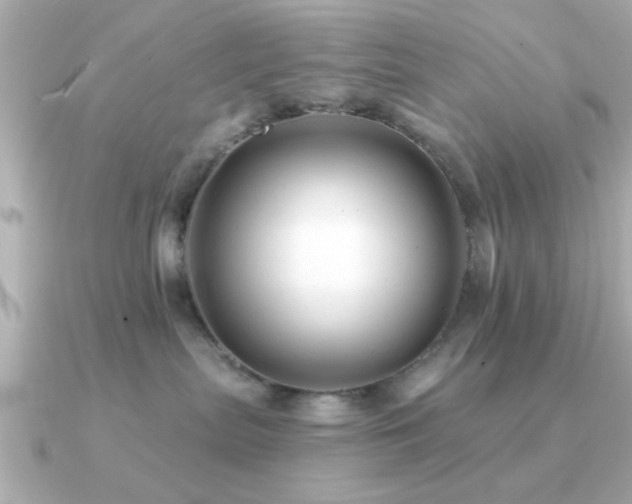 X0000091330287200708101431