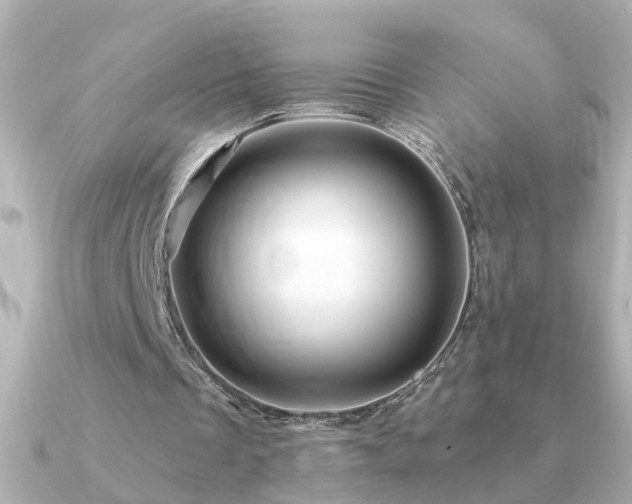 X0000091330289200708101431